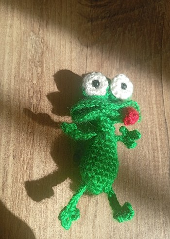 Renkli Yeşil Örgü Kurbağa  anatarlık - Görsel 3