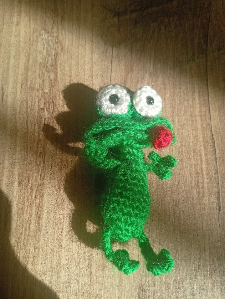 Renkli Yeşil Örgü Kurbağa  anatarlık - Görsel 4