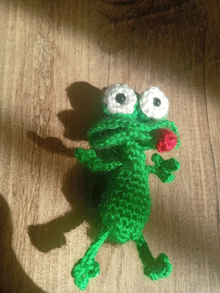 Renkli Yeşil Örgü Kurbağa  anatarlık - Görsel 2