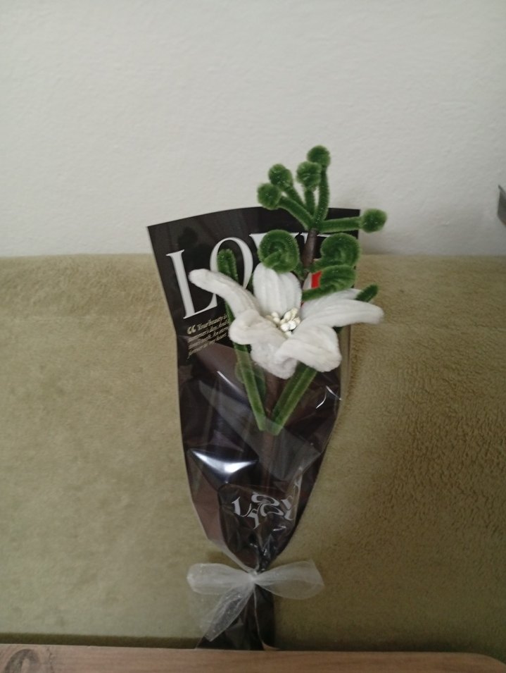 Beyaz Cicek - Görsel 3