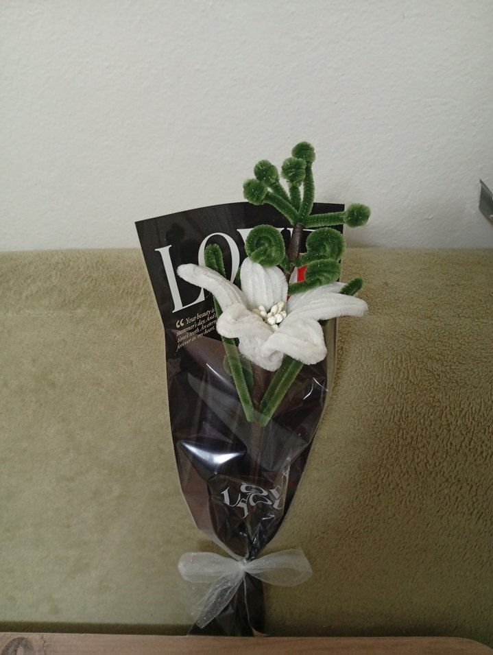 Beyaz Cicek - Görsel 4