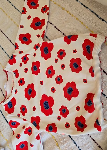 HelloBaby 24-36 Ay