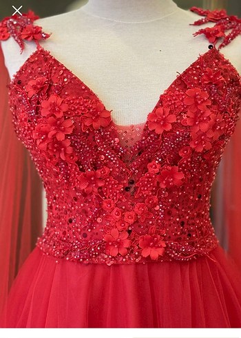 Kırmızı kınalık - Görsel 3