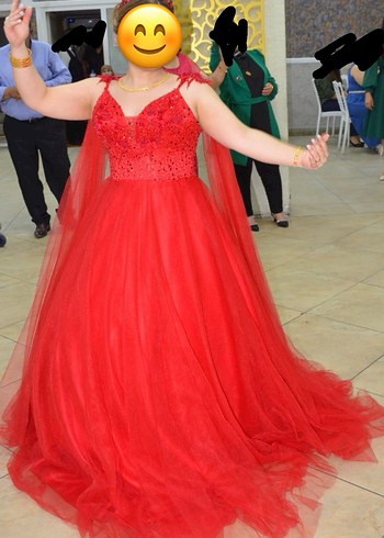 Kırmızı kınalık - Görsel 5