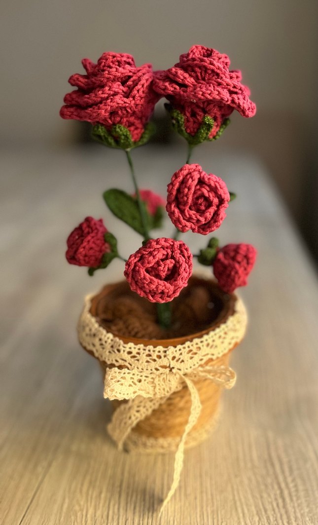 Bohem Tarzı El Yapımı Örgü Güller - Görsel 3