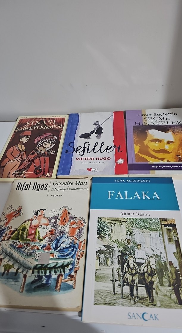 Klasik Edebiyat Kitapları Seti - Görsel 2