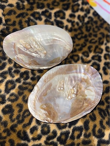 İnci kolye ve istiridye - Görsel 3