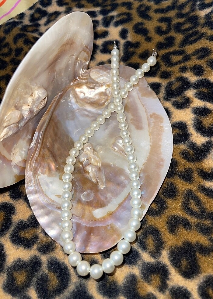 İnci kolye ve istiridye - Görsel 2