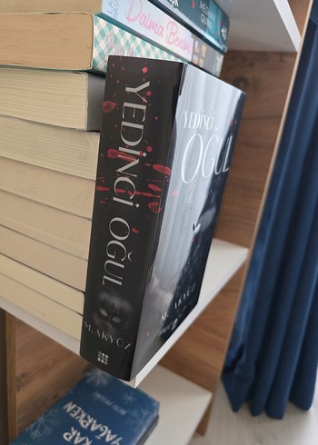 Yedinci Oğul - M. Akyüz hiç okumadım olduğu gibi - Görsel 2