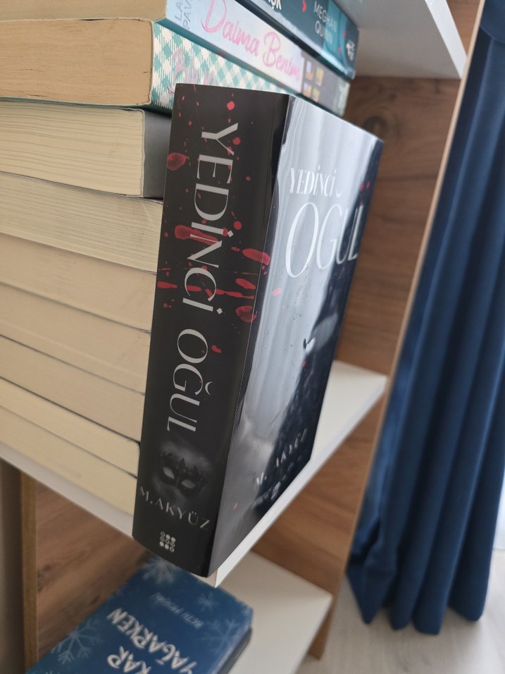 Yedinci Oğul - M. Akyüz hiç okumadım olduğu gibi - Görsel 2