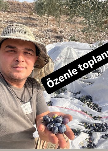 Salamura Siyah Zeytin 2 KG - Görsel 3