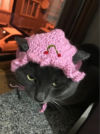  Kedi şapkası