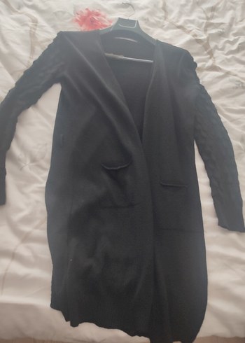 zara l