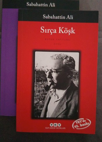 Sabahattin Ali - Yeni Dünya ve Sırça Köşk - Görsel 3