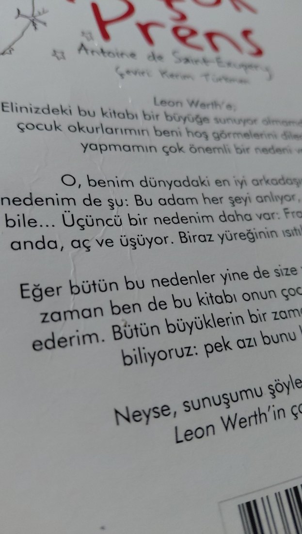 Küçük Prens - Antoine de Saint-Exupery - Görsel 3