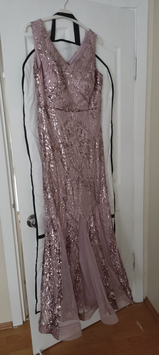 V Yaka Payetli Uzun Abiye Elbise - Görsel 5