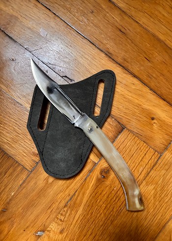 Koç boynuzu kılıflı - Görsel 3