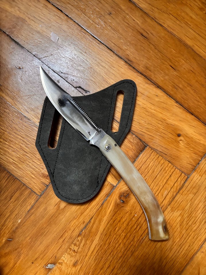 Koç boynuzu kılıflı - Görsel 3