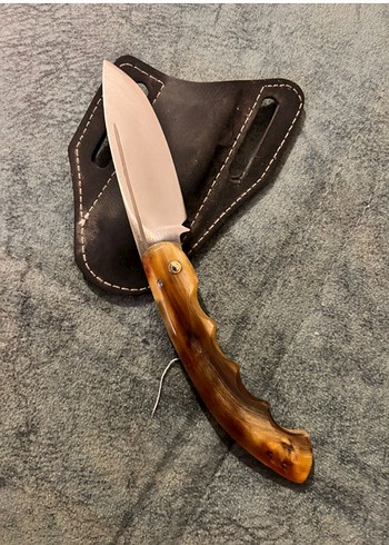 Koç boynuzu - Görsel 3