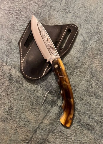 Koç boynuzu - Görsel 2