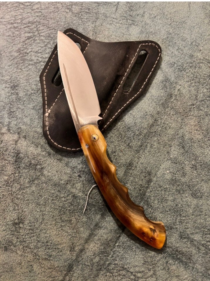 Koç boynuzu - Görsel 3