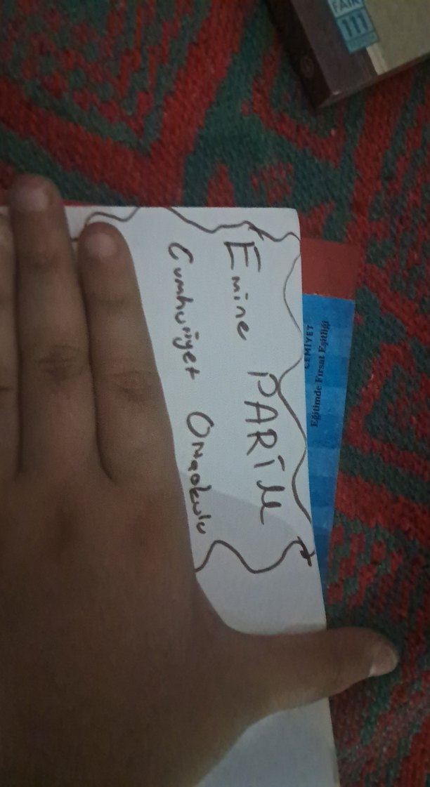 Sadako - Cesaret ve Umudun Gerçek Hikayesi - Görsel 2