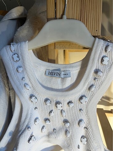 Dilvin Dilvin crop