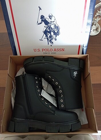 38 Beden Polo bot