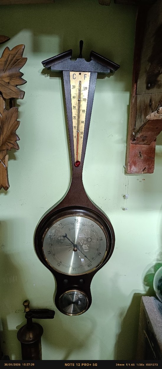 Koyu Renk Duvar Termometresi - Görsel 4