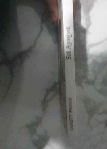 Sol Ayağım - Christy Brown - Görsel 2