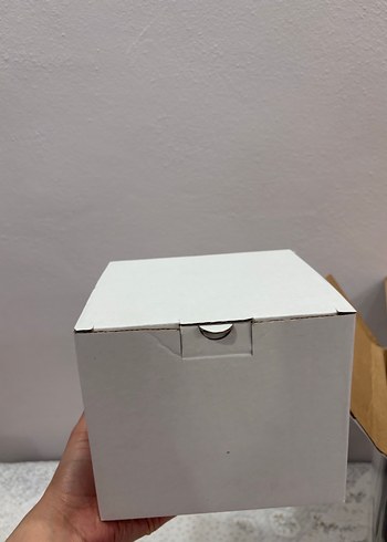 Karaca KONUŞAN ÇAYCI - Görsel 4