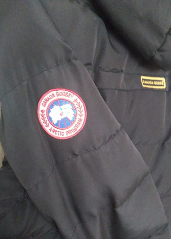 Gri Puff Detaylı Erkek Mont Canada Goose M/L uyumludur. - Görsel 4
