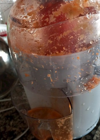 Pastel Turuncu Meyve Sıkacağı - Görsel 3