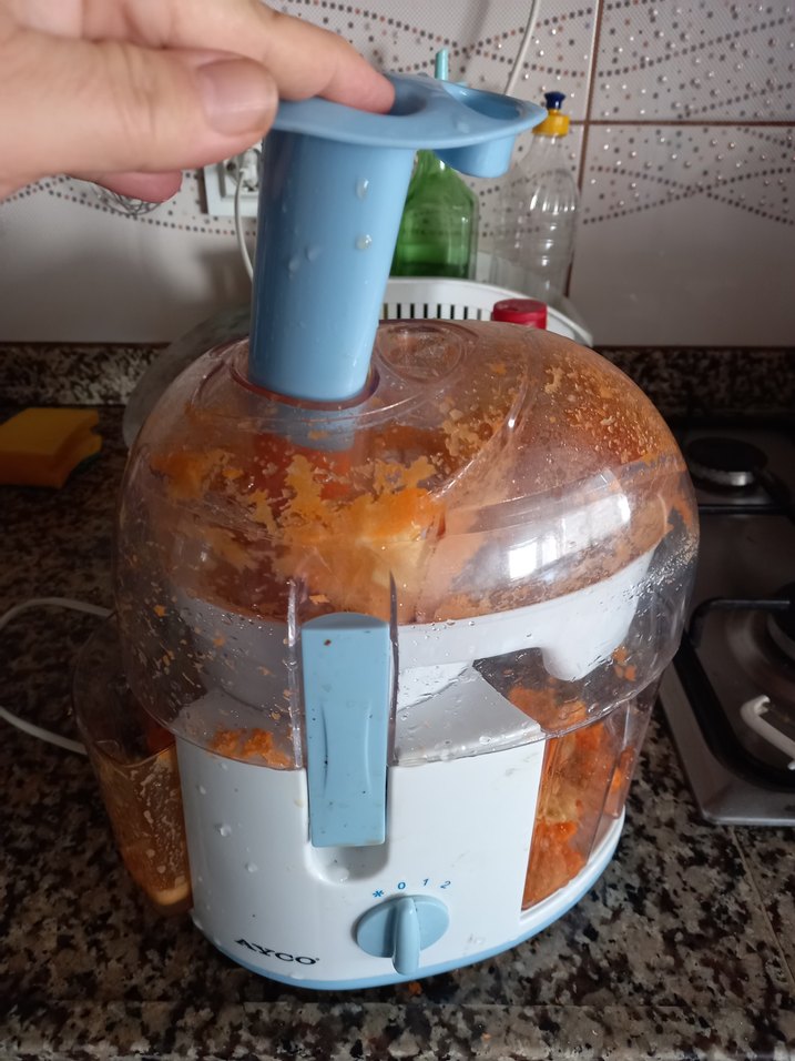 Pastel Turuncu Meyve Sıkacağı - Görsel 2