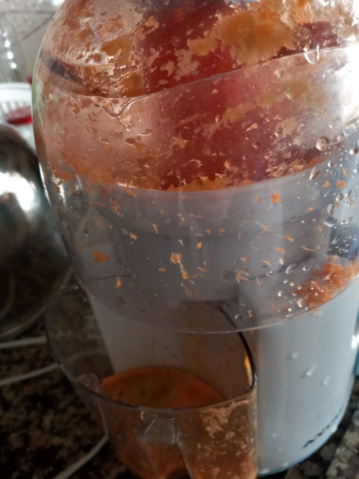 Pastel Turuncu Meyve Sıkacağı - Görsel 3