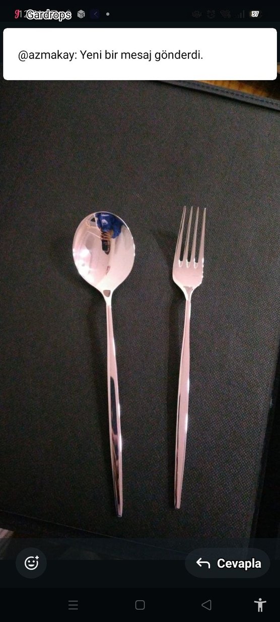 Gümüş renk çelik 84  Parça Çatal Bıçak Seti yeni seri - Görsel 3