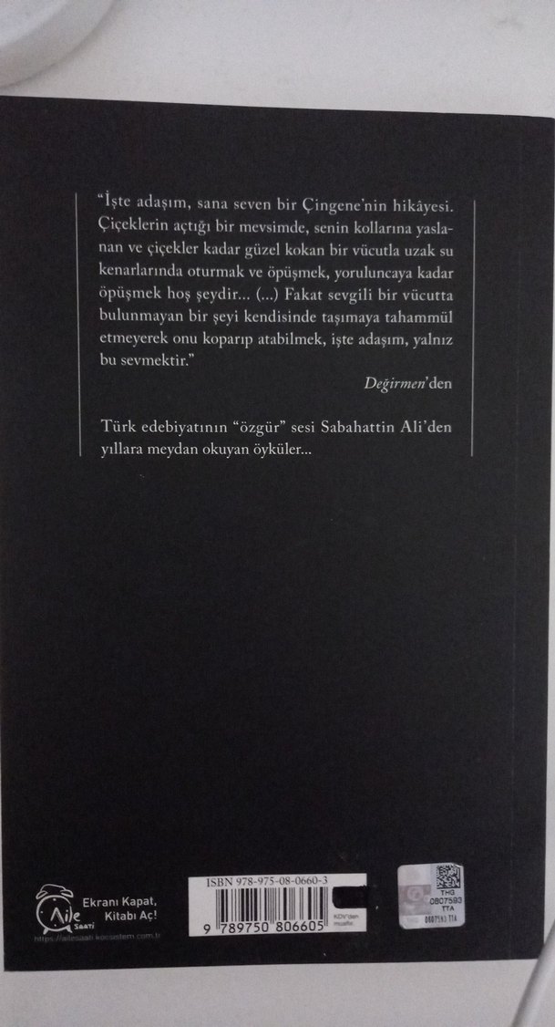 Sabahattin Ali - Değirmen - Görsel 2