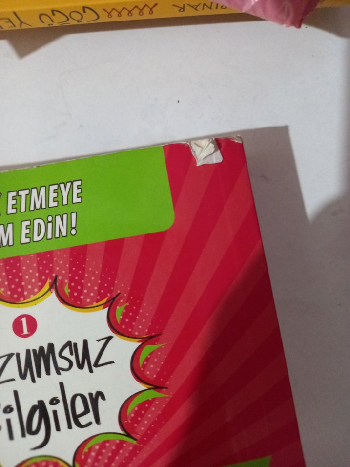 Lüzumsuz Bilgiler Kitabı - Yakamoz - Görsel 3