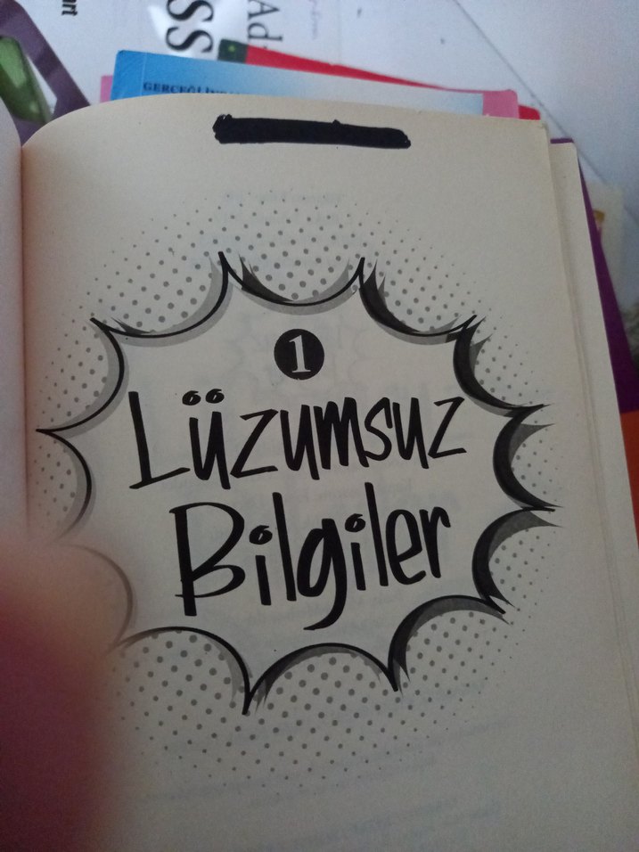 Lüzumsuz Bilgiler Kitabı - Yakamoz - Görsel 4