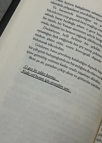 Beyza Aksoy - Siyah Kuğu 1 - Görsel 18