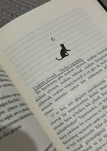 Beyza Aksoy - Siyah Kuğu 1 - Görsel 10