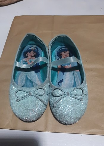 Walt Disney World 27