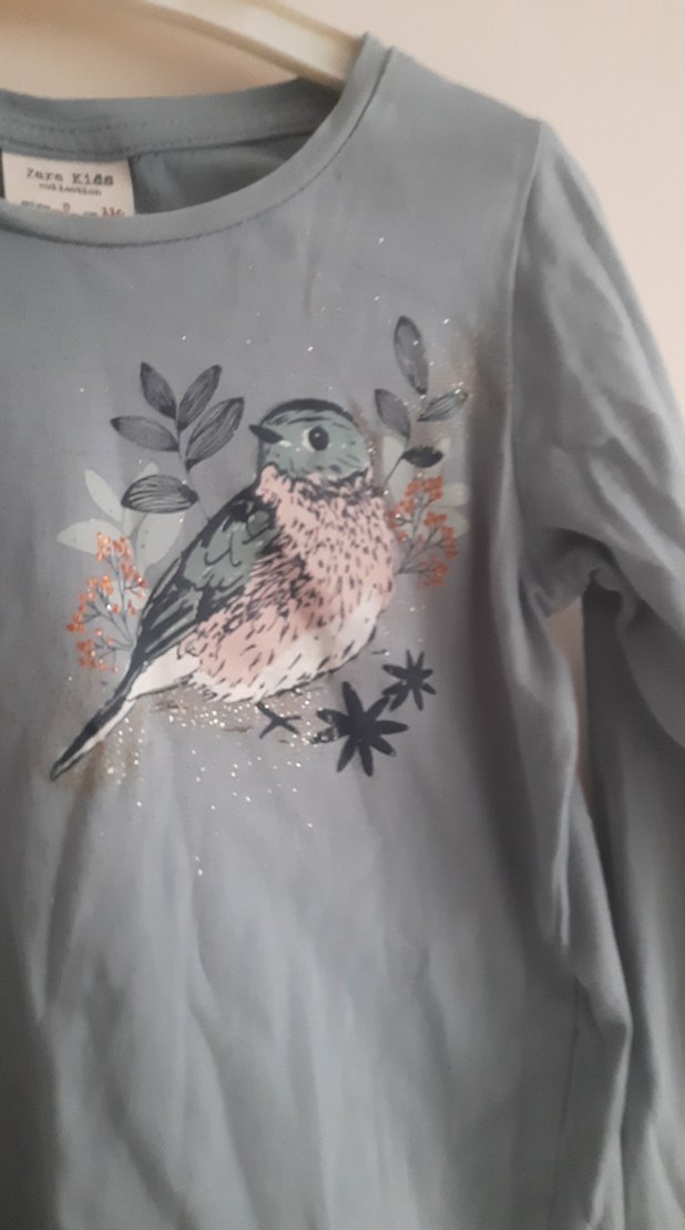 Kız Çocuk Gri Uzun Kollu Baskılı Tişört - Görsel 2