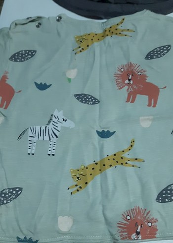 4adet 350 1adet 100 tl Erkek Çocuk Kahverengi Uzun Kollu tşortla - Görsel 13