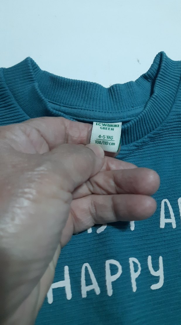 lcw marka 4/5 yaş Mavi Erkek Çocuk  Sweatshirt - Görsel 3