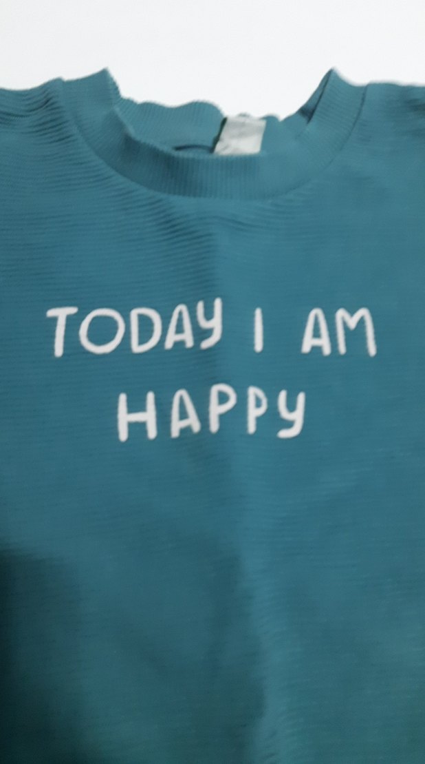 lcw marka 4/5 yaş Mavi Erkek Çocuk  Sweatshirt - Görsel 2