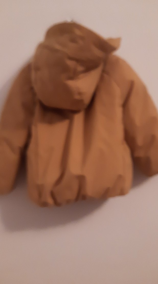 zara marka 3/4 yaş Kapüşonlu Erkek Çocuk Mont - Görsel 5