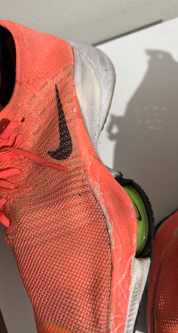 Srkek Renkli Elastik Spor Ayakkabı - Görsel 5