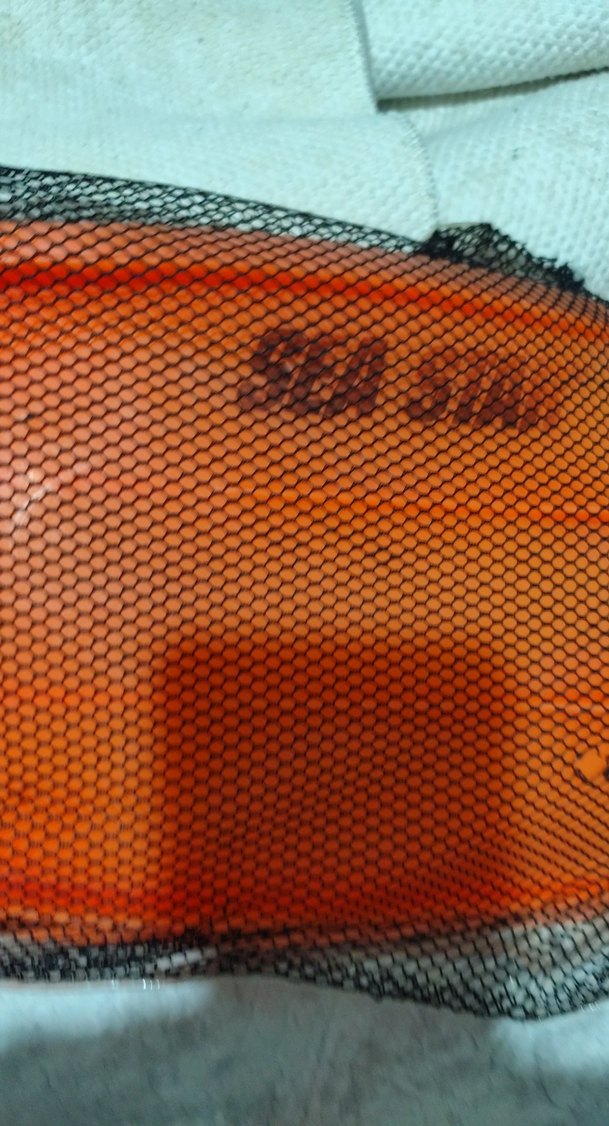 Parlak Turuncu Çocuk Deniz Yüzgeci - Görsel 4