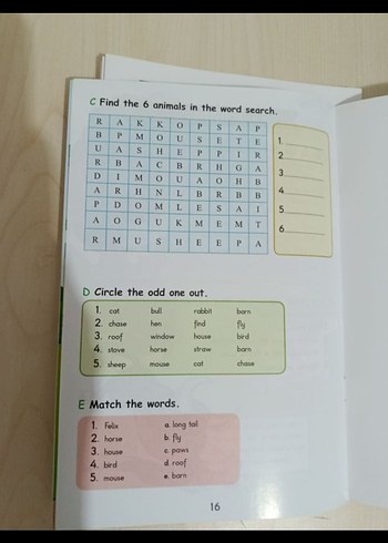 Enjoy 5. Sınıf İngilizce Hikaye ve  Etkinlik Kitabı - Görsel 6